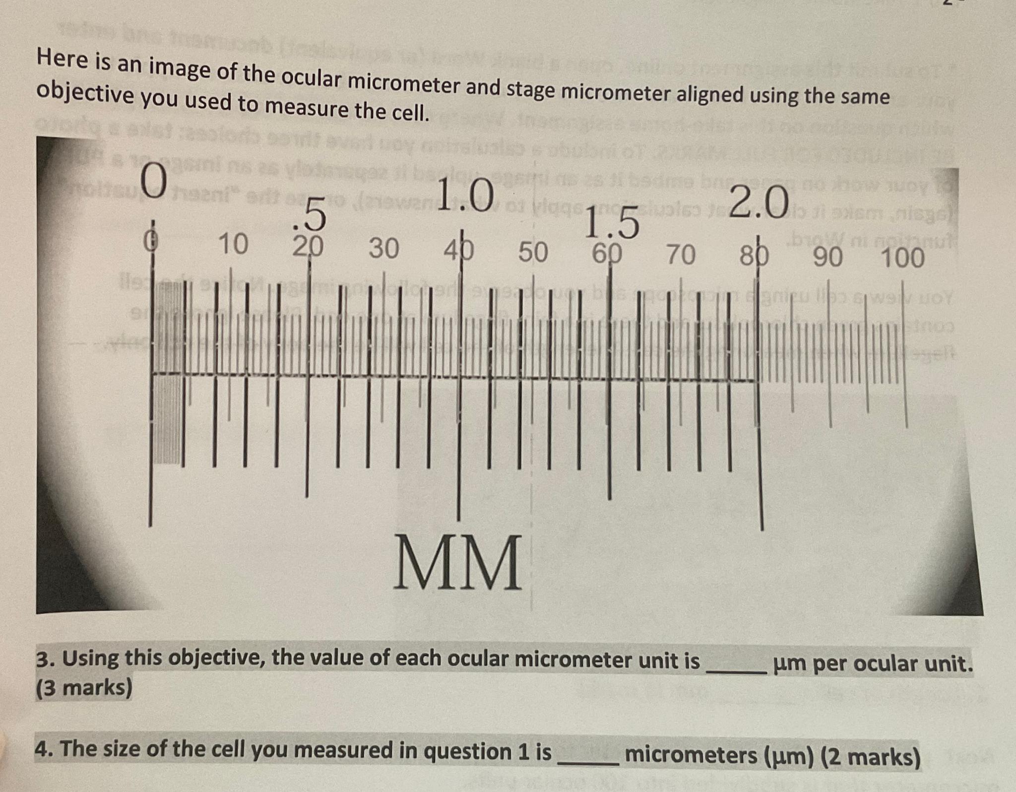 Solved Here is an image of the ocular micrometer and stage