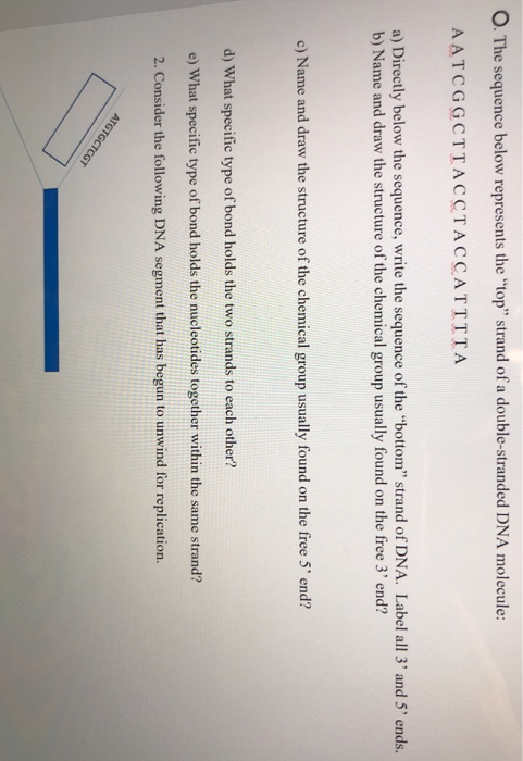 Solved O. The sequence below represents the 