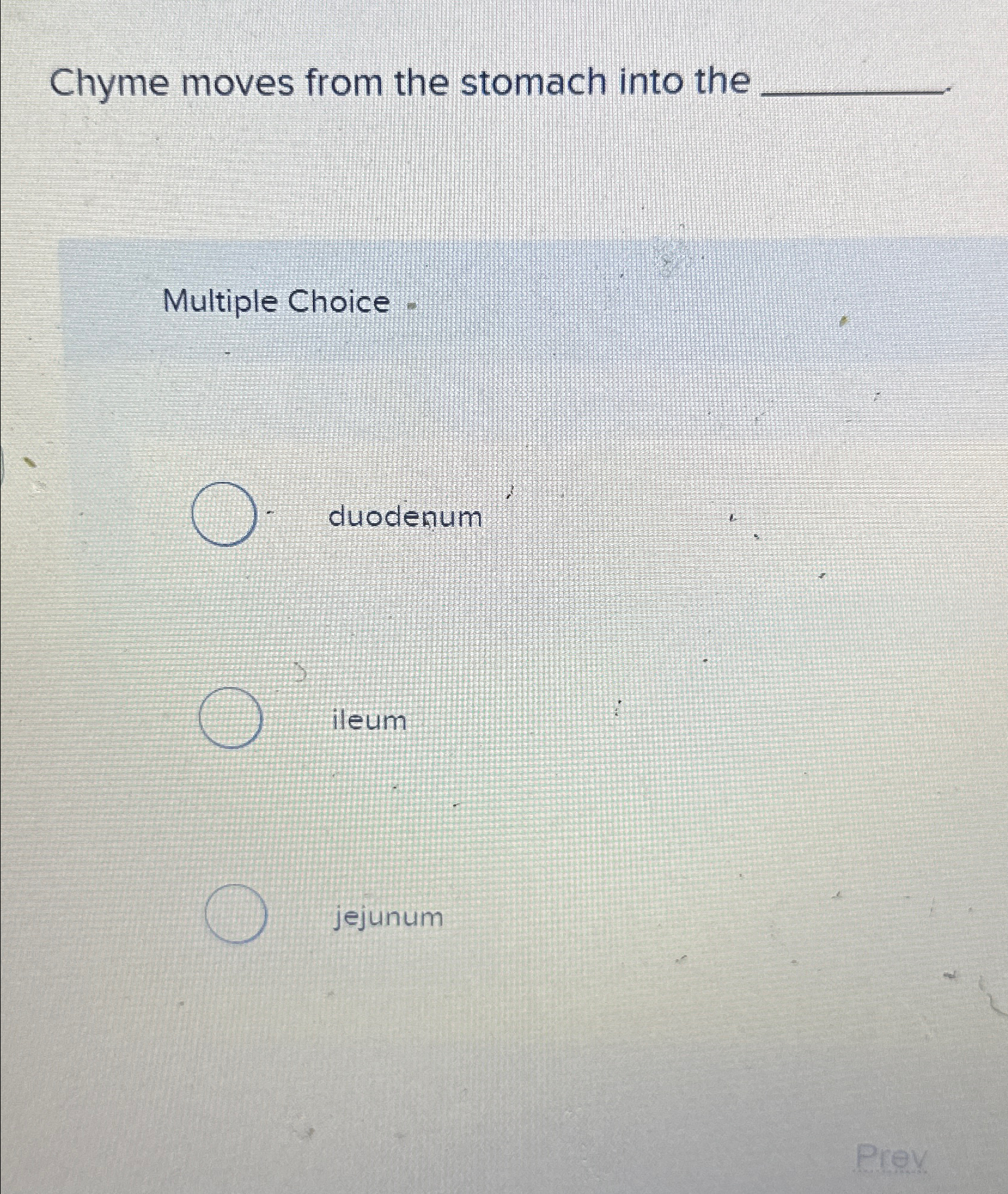Solved Chyme moves from the stomach into theMultiple Choice | Chegg.com