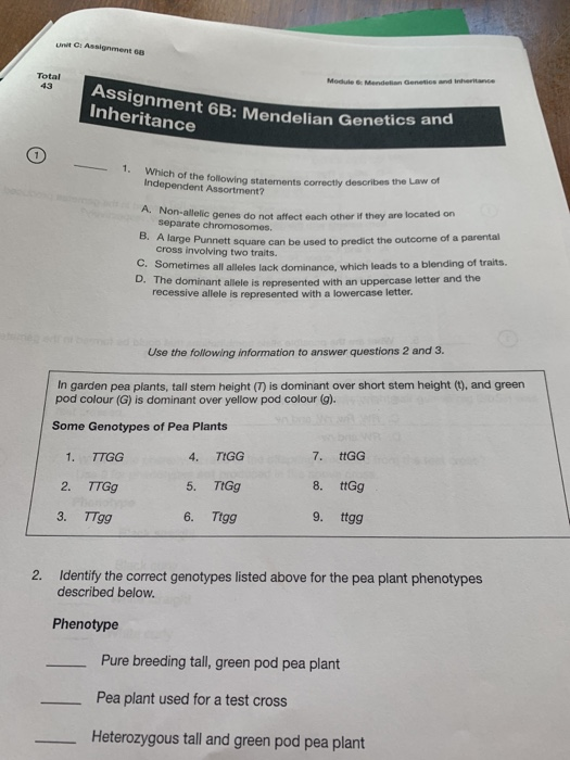 Solved Assignment 6B: Mendelian Genetics And Un I Assignment | Chegg.com