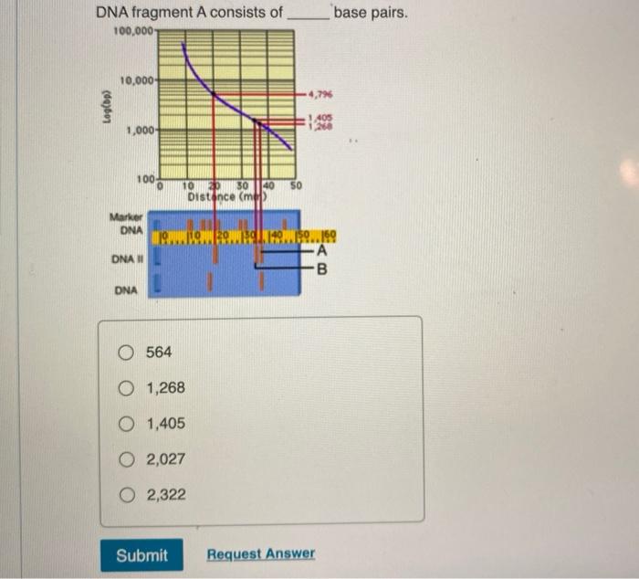 Solved DNA fragment A consists of 100,000 base pairs. 10,000 | Chegg.com