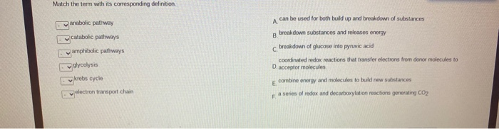 Solved Match the term with its corresponding definition А | Chegg.com