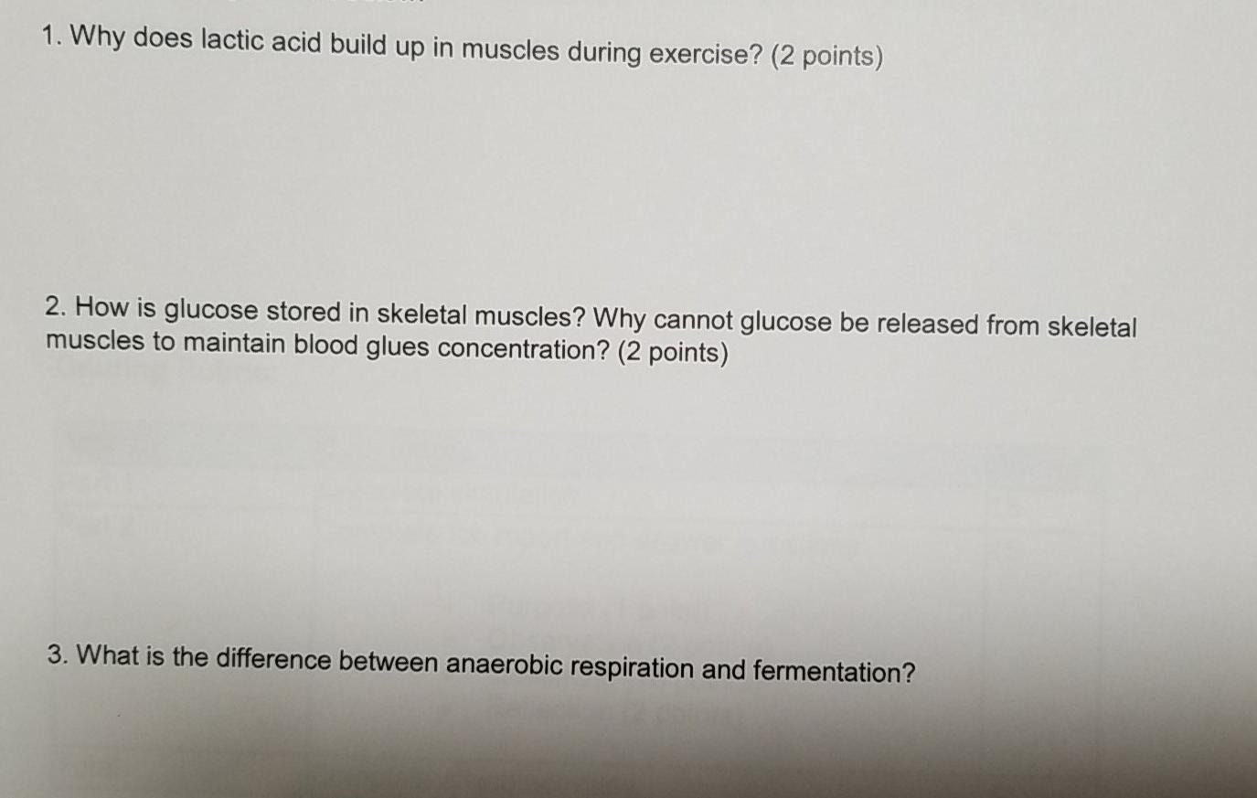 Lactic acid build up during online exercise