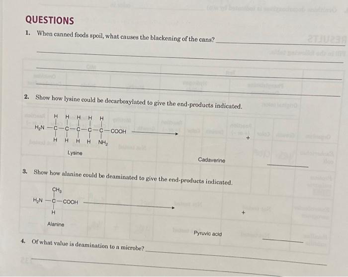 [Solved] QUESTIONS 1. When canned foods spoil, what causes