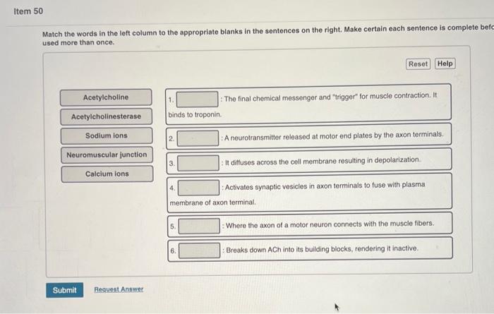Solved Match the words in the left column to the appropriate | Chegg.com