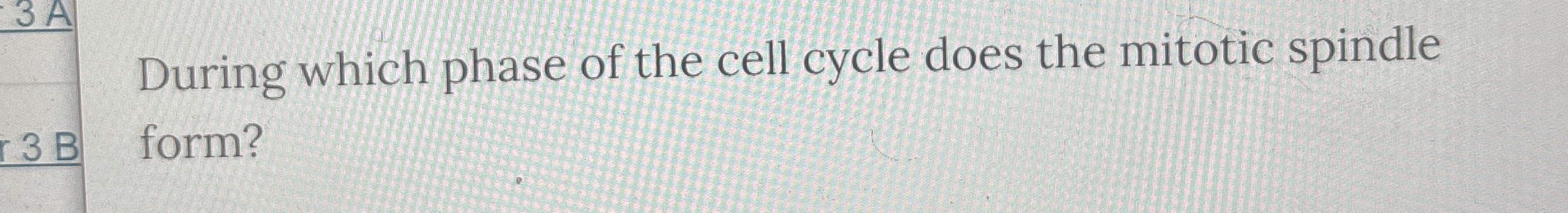 Solved During which phase of the cell cycle does the mitotic | Chegg.com