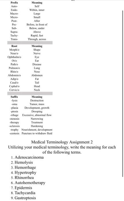 Solved Prefix Auto- Endo- Macro- Micro- Post- Pre- Sub- | Chegg.com