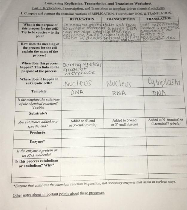 comparing dna replication and transcription worksheet answers