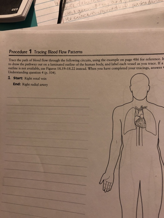 Solved asocedure 1 the succe procedure 1 tracing blood flow chegg