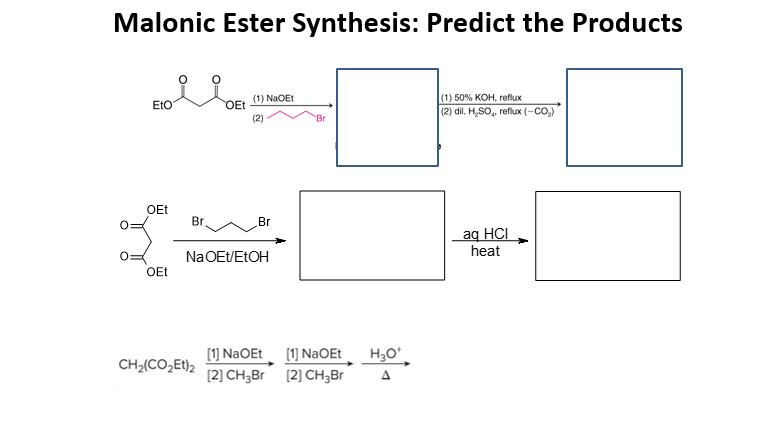 Solved Malonic Ester Synthesis: Predict the | Chegg.com