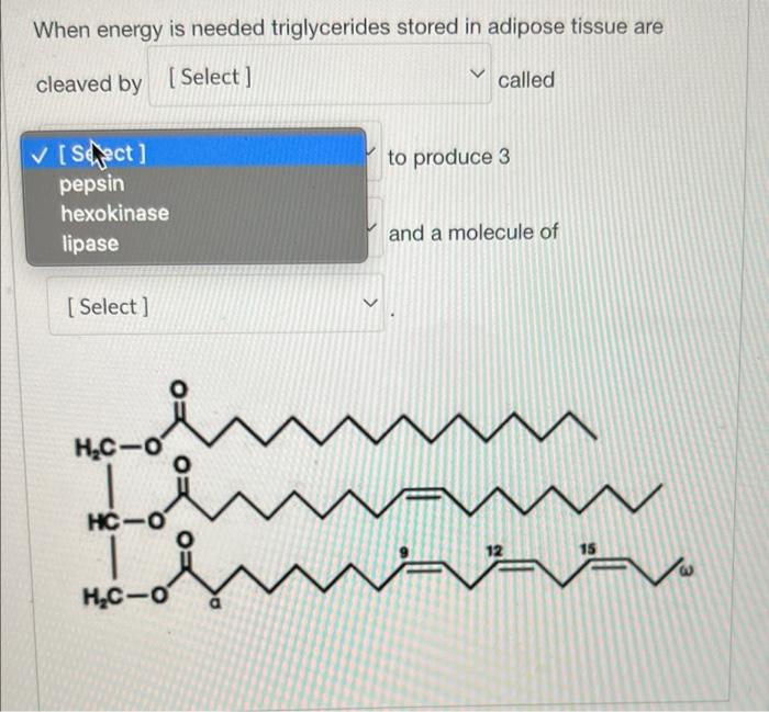 When energy is needed triglycerides stored in adipose tissue are
cleaved by [Select]
called
? [Sect]
to produce 3
pepsin
hexo