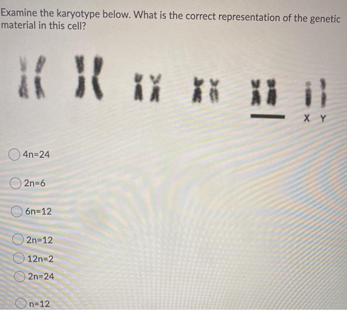 Solved Examine The Karyotype Below What Is The Correct