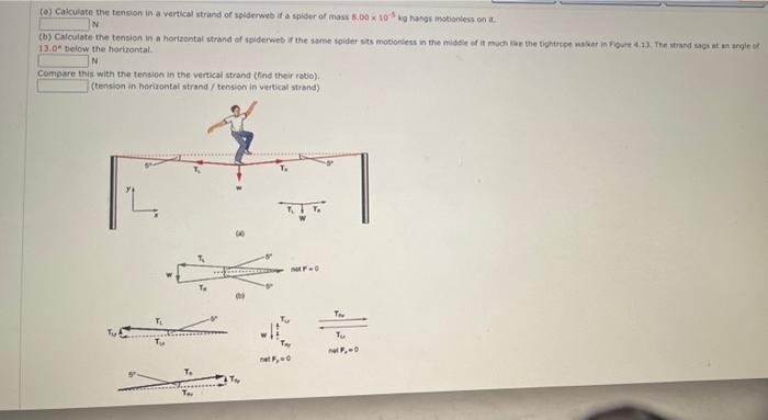 Solved a)Calculate the tension in a vertical strand of | Chegg.com