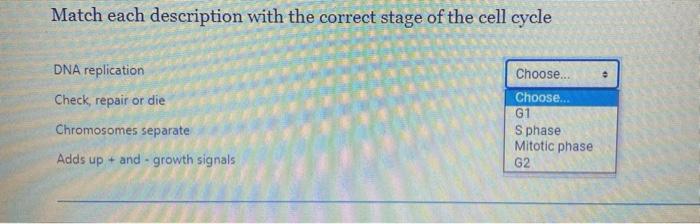 Solved Match Each Description With The Correct Stage Of The | Chegg.com