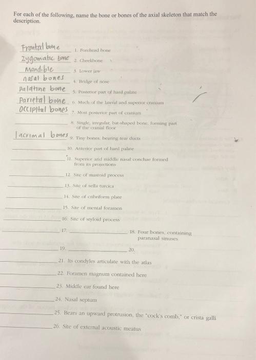 Solved For each of the following, name the bone or bones of | Chegg.com