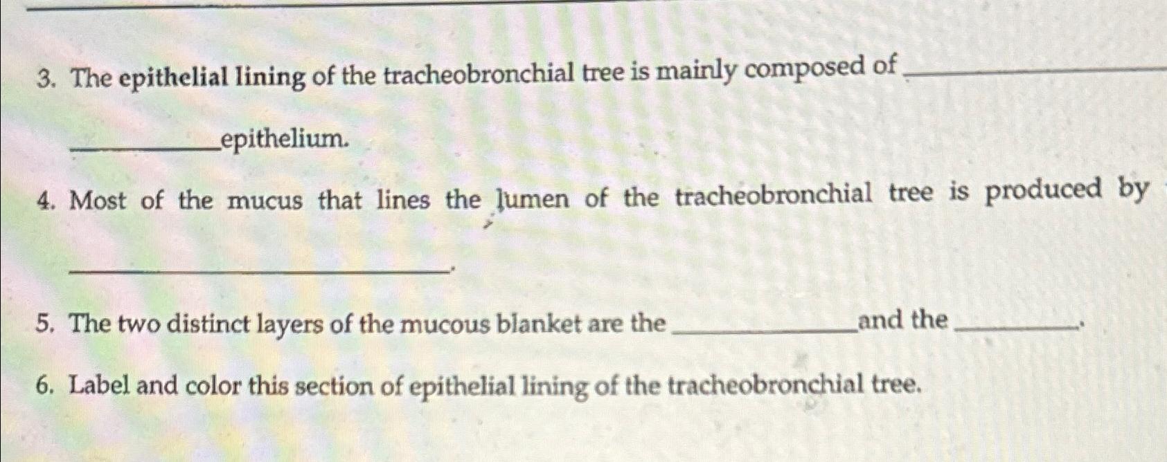 Solved The epithelial lining of the tracheobronchial tree is