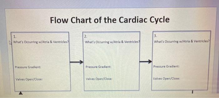 Solved Cardiac Cycle complete the flow chart of the 5 | Chegg.com