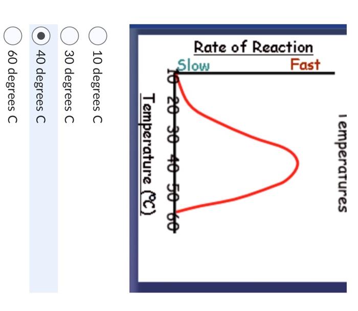 Solved What is the optimal temperature for the enzyme in the | Chegg.com