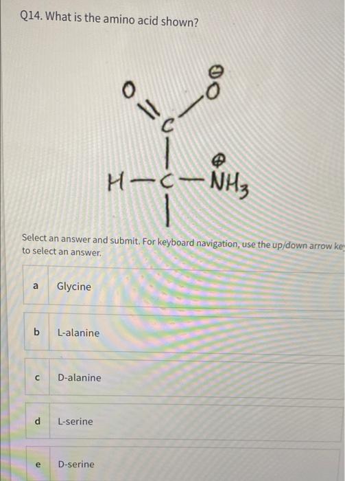 Solved Q6. All hydrophobic amino acids (valine, leucine,