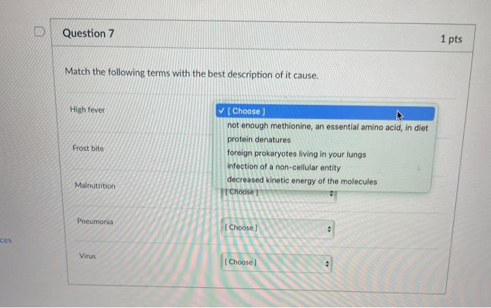 Solved Question 7 1 pts Match the following terms with the | Chegg.com