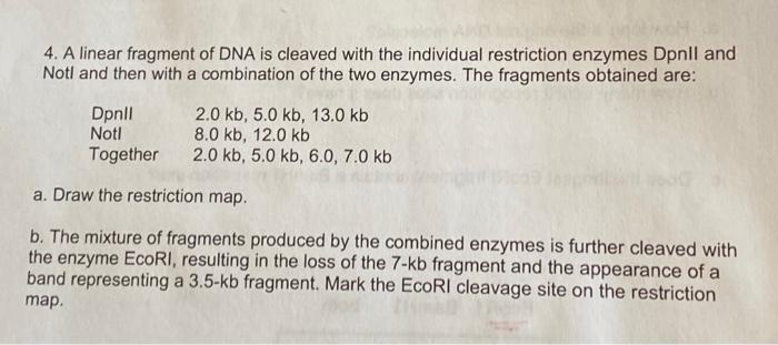 Solved 4. A linear fragment of DNA is cleaved with the | Chegg.com