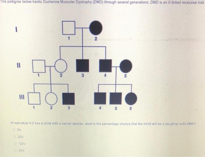 Solved The pedigree below tracks Duchenne Muscular Dystrophy | Chegg.com