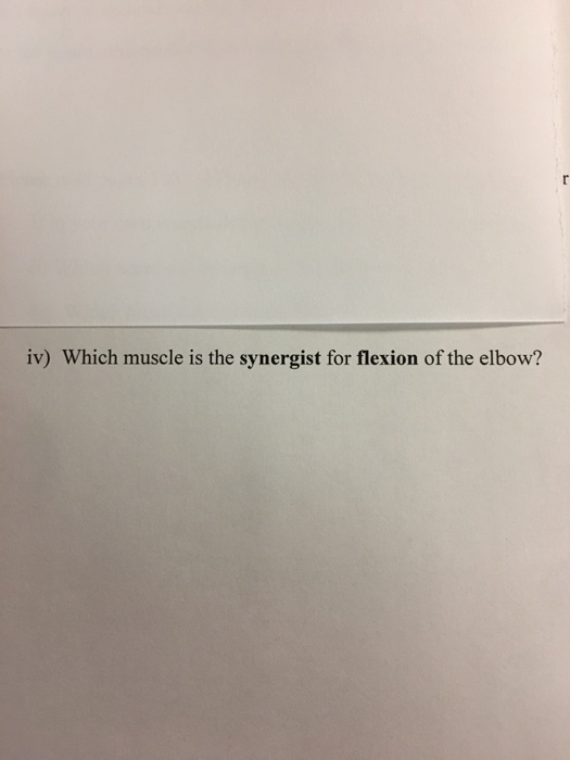 Solved r iv) Which muscle is the synergist for flexion of
