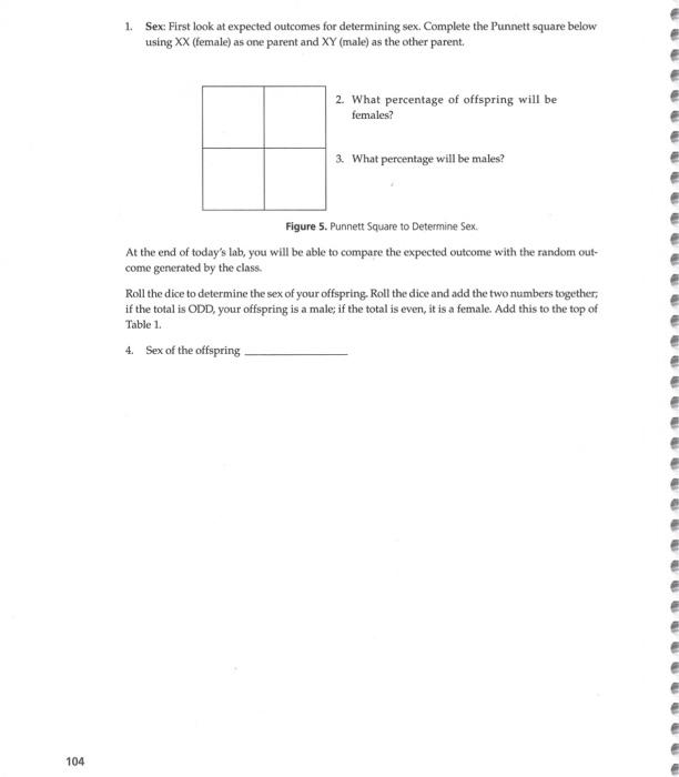 Solved Part 3. Now that you can easily do a Punnett square | Chegg.com