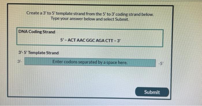 Solved 4 Determine the corresponding mRNA (5′ to 3′) strand | Chegg.com