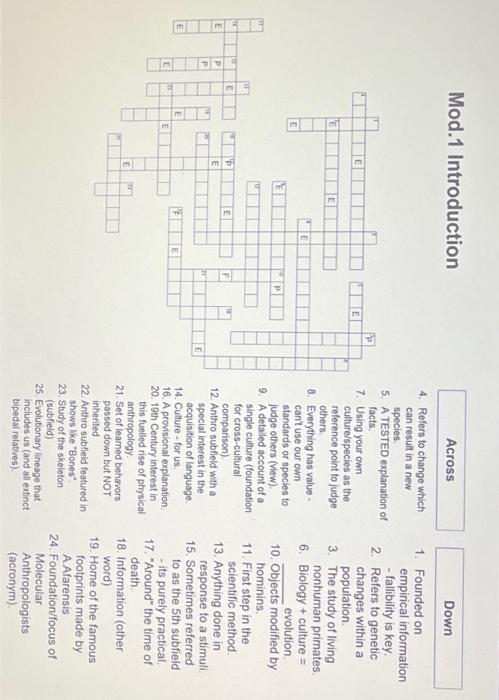 Cultural Anthropology crossword puzzle 4