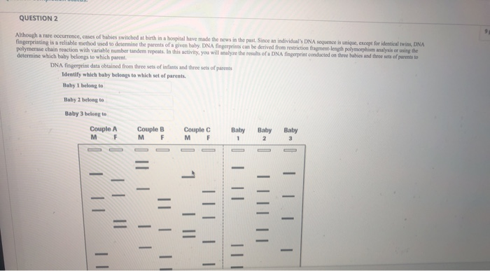 Switched At Birth Dna Fingerprinting An Application Answers 33+ Pages Answer Doc [1.35mb] - Latest Update 