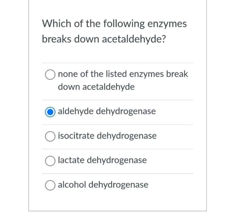 Solved Which of the following enzymes breaks down