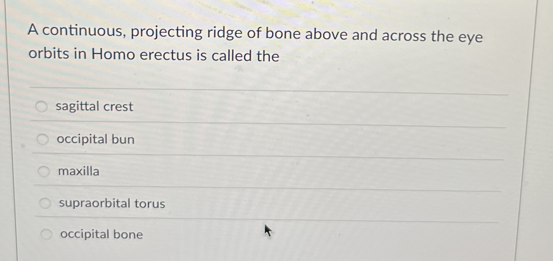 Solved A continuous, projecting ridge of bone above and | Chegg.com