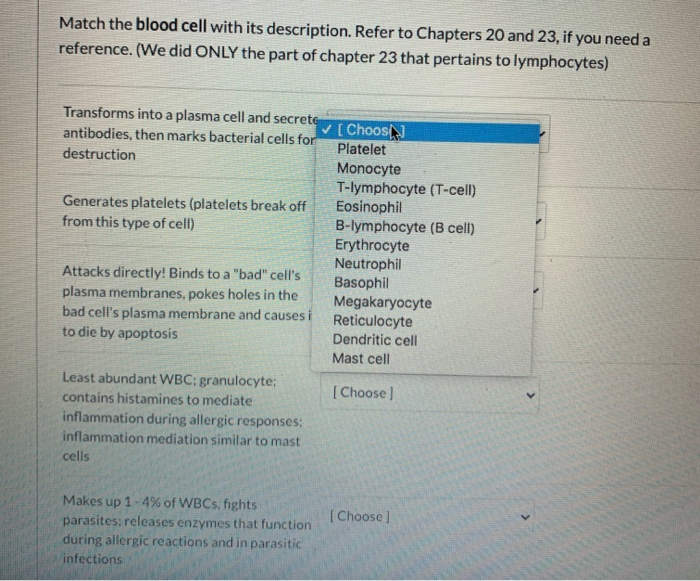 Solved Match The Blood Cell With Its Description. Refer To | Chegg.com