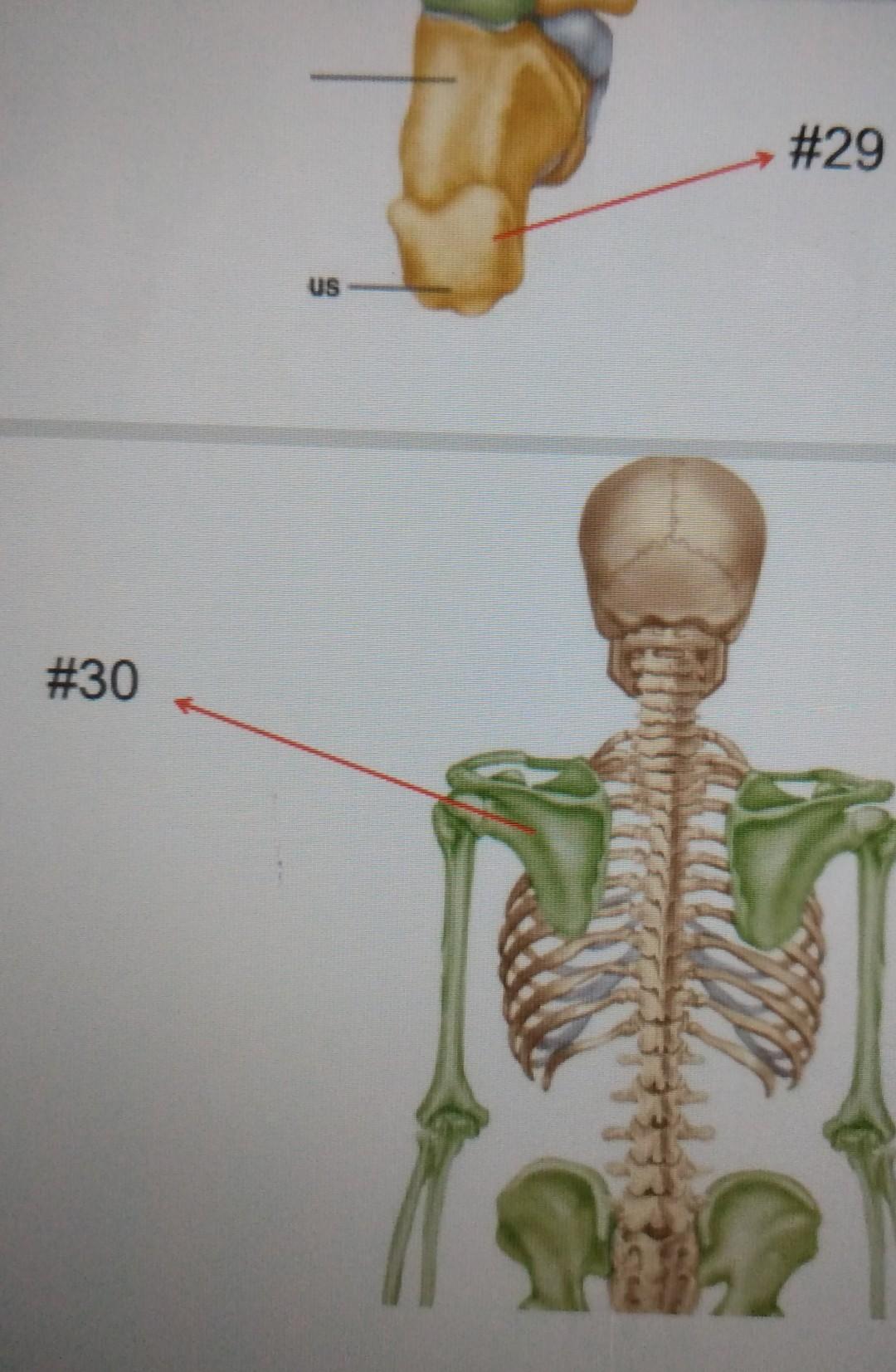 Solved Lab Practical 1(1).pdf #22 *Name the 