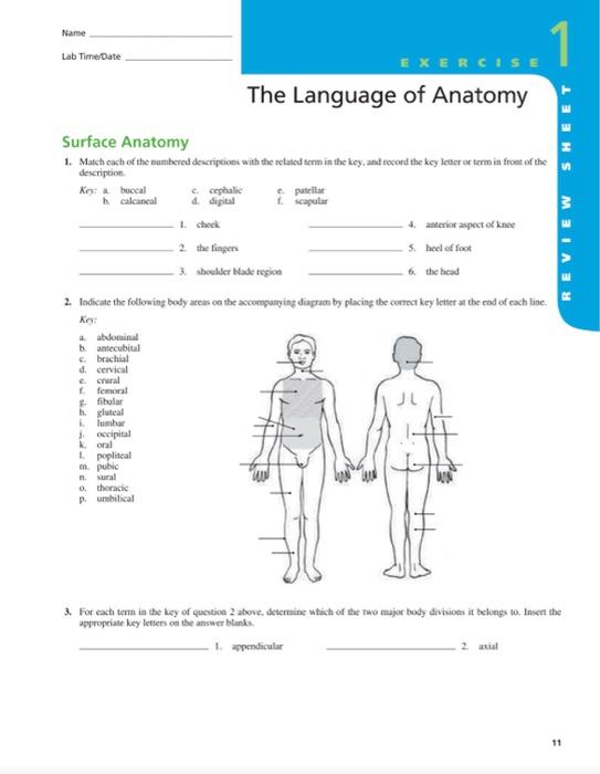 Solved Lab 1 & 2 Study Guide 1. Use the Lab Manual (by | Chegg.com