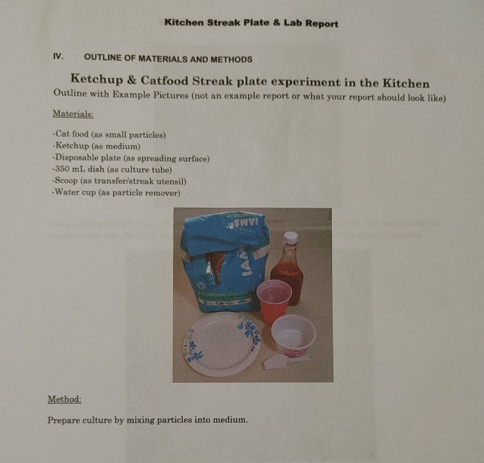 Kitchen Streak Plate & Lab Report IV. OUTLINE OF