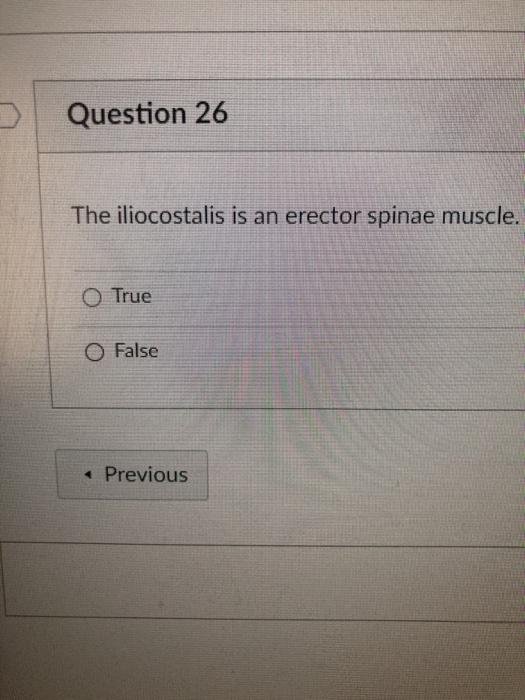 Question 26 The iliocostalis is an erector spinae muscle. O True O False Previous