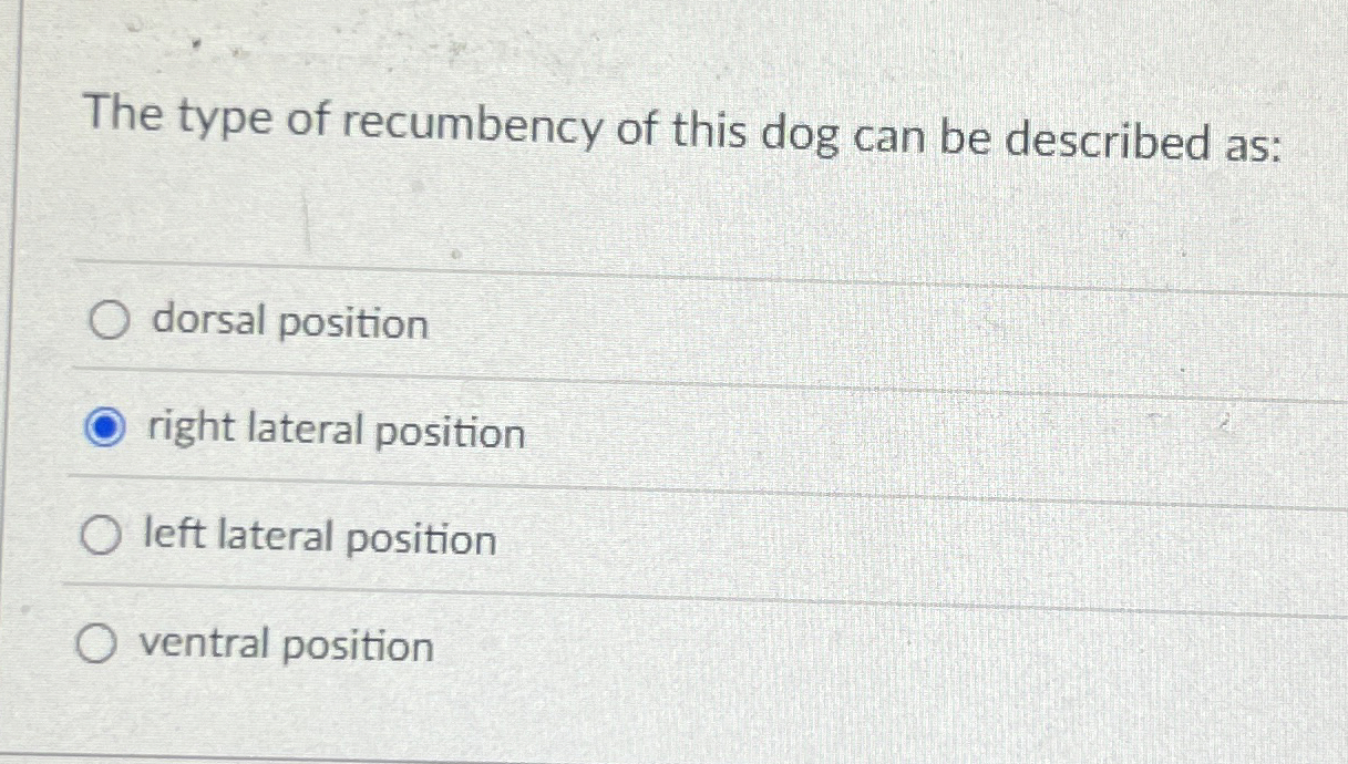 Solved The type of recumbency of this dog can be described | Chegg.com