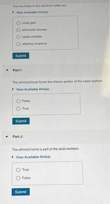 Solved Identity the recessed area surrounding the crista | Chegg.com