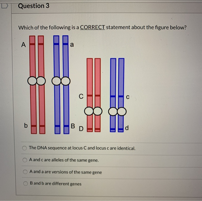 Solved Question 1 The circled pair of chromosomes are: ---- | Chegg.com