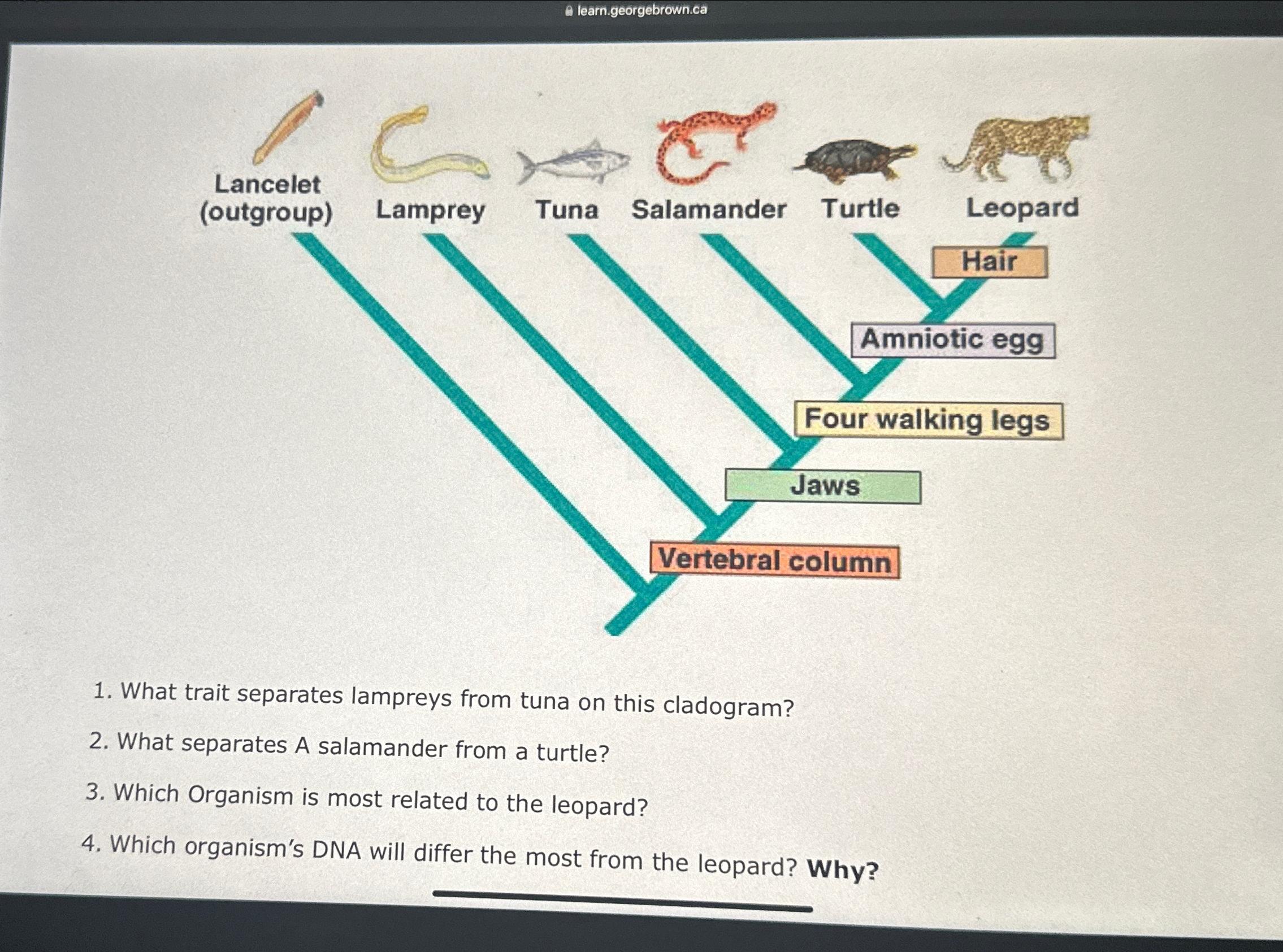 Solved Using the pictire below please answer these | Chegg.com