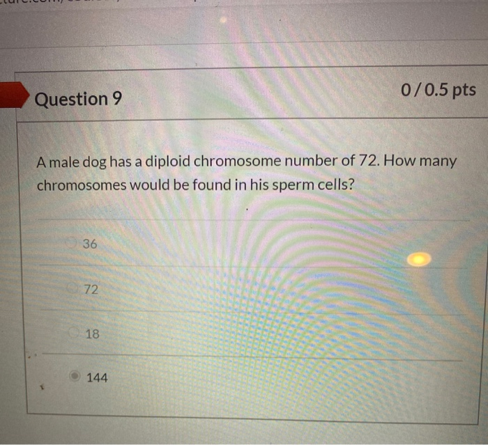 Solved 0/0.5 pts Question 9 Amale dog has a diploid | Chegg.com