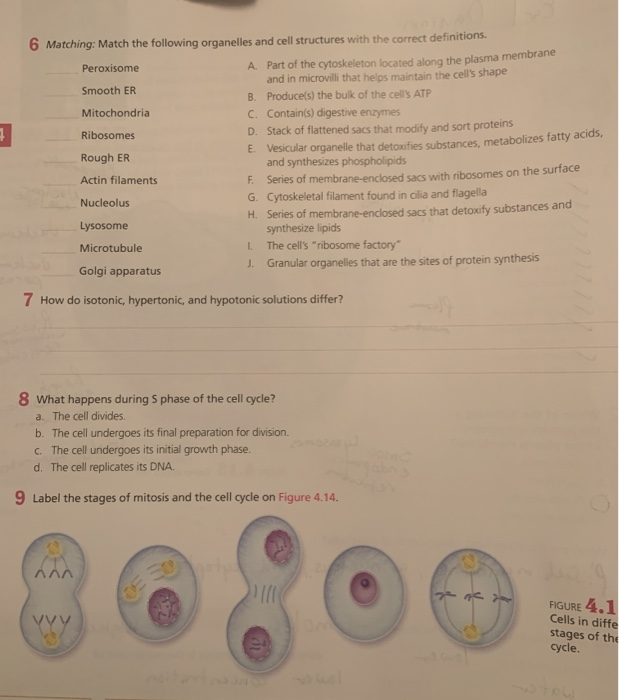 Solved 4 Fill in the blanks: Diffusion is the movement of | Chegg.com