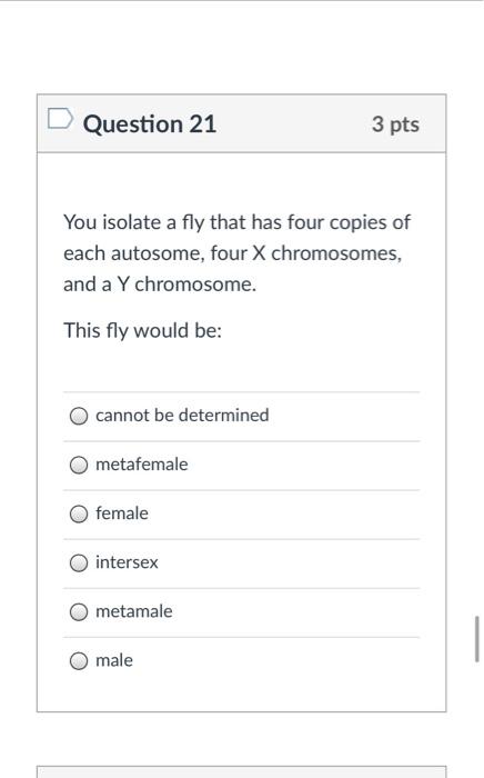 Solved Question 21 3 pts You isolate a fly that has four | Chegg.com
