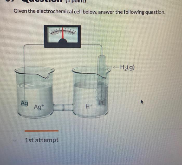 Solved Given the electrochemical cell below, answer the | Chegg.com