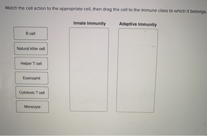 Solved Match the cell action to the appropriate cell, then | Chegg.com