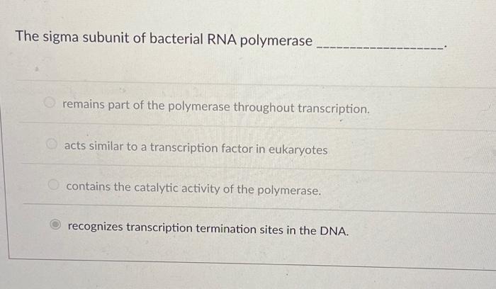 Solved The Sigma Subunit Of Bacterial Rna Polymerase Remains 5849