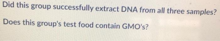 Did this group successfully extract DNA from all three samples? Does this groups test food contain GMOs?