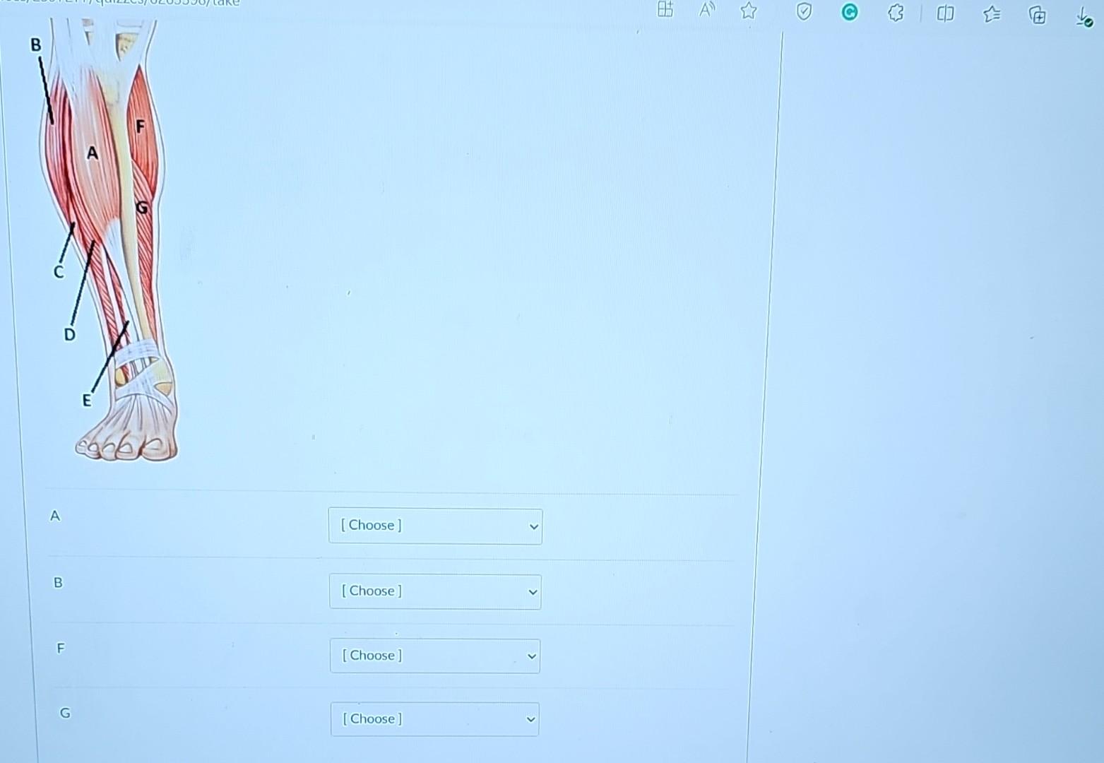 Solved Match letters on the picture with their appropriate | Chegg.com